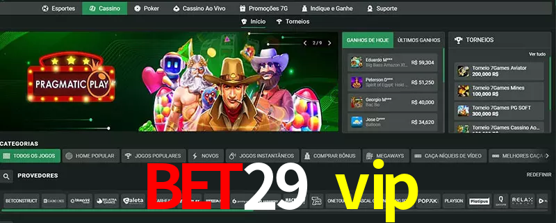 cassino bet29 vip